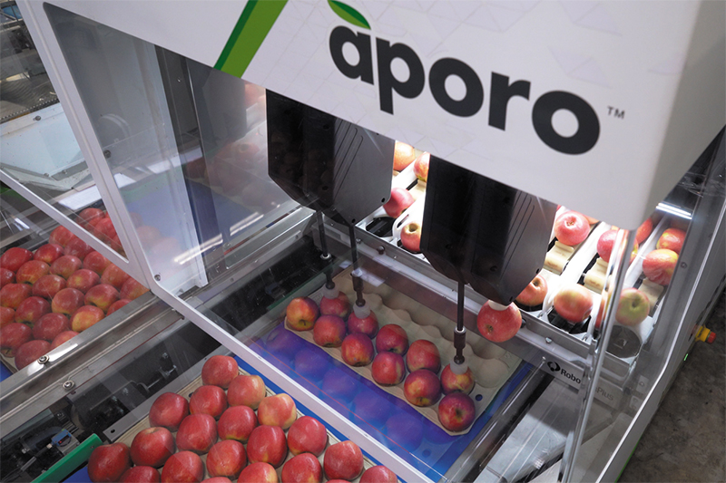 Aporo